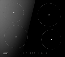 Induktionsfeld Reparatur Seevetal